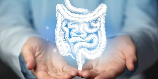 The Role of Routine in Emotional Stability